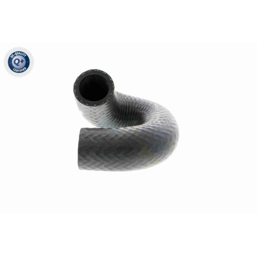 VAICO Kühlerschlauch Q+, Erstausrüsterqualität V20-1697