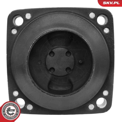 ESEN SKV Lagerung, Motor 75SKV004