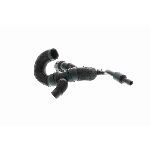 VAICO K&uuml;hlerschlauch Original VAICO Qualit&auml;t V10-4288