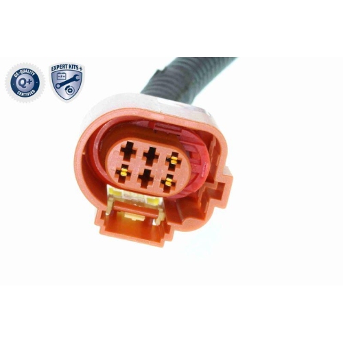 VEMO Drosselklappenstutzen EXPERT KITS + V24-81-0002
