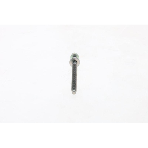 BOSCH Schraube F 002 D13 673