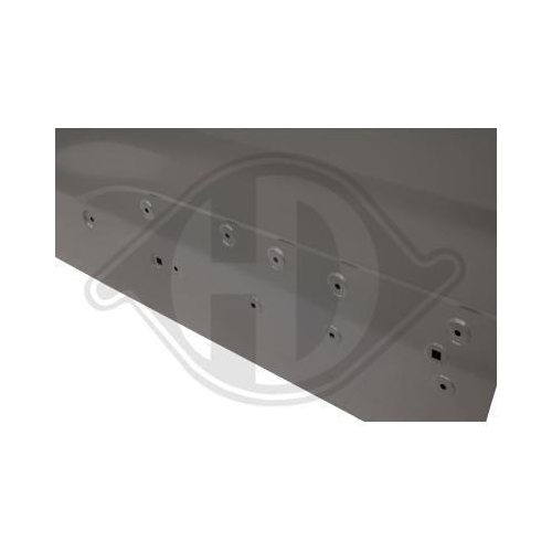 DIEDERICHS Tür, Karosserie 4014821