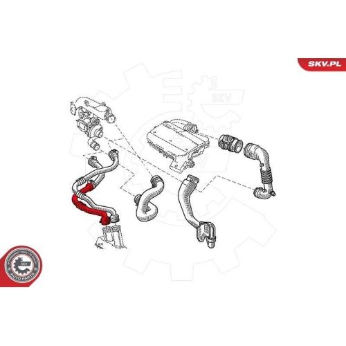 ESEN SKV Ladeluftschlauch 43SKV280