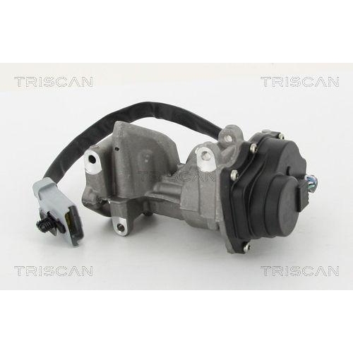 TRISCAN AGR-Ventil 8813 10202