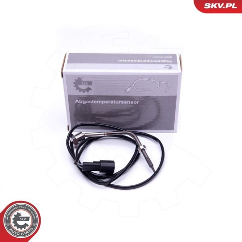 ESEN SKV Sensor, Abgastemperatur 30SKV284