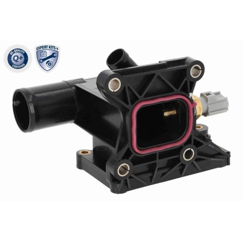 ACKOJA Thermostat, K&uuml;hlmittel EXPERT KITS +