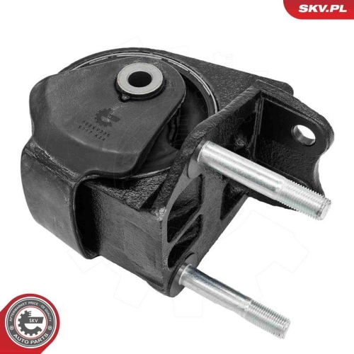 ESEN SKV Lagerung, Motor 75SKV336