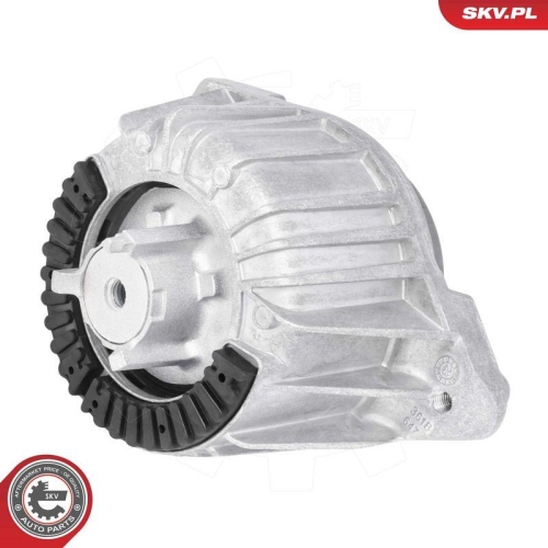 ESEN SKV Lagerung, Motor 75SKV328