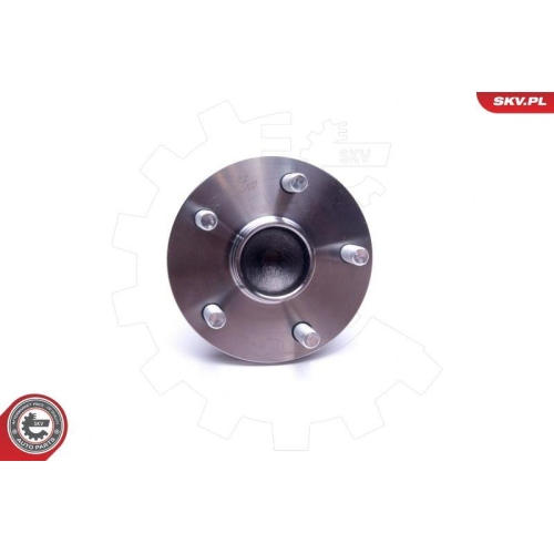 ESEN SKV Radlagersatz