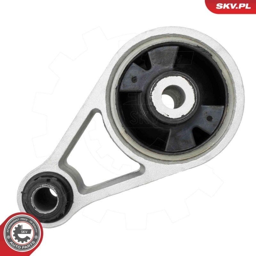 ESEN SKV Lagerung, Motor 75SKV067