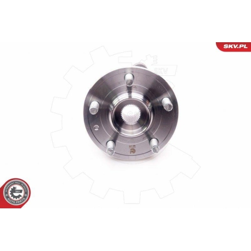 ESEN SKV Radlagersatz 29SKV124