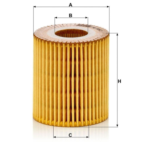 MANN-FILTER &Ouml;lfilter HU 815/2 x