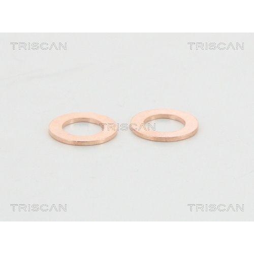 TRISCAN Bremsschlauch 8150 13104