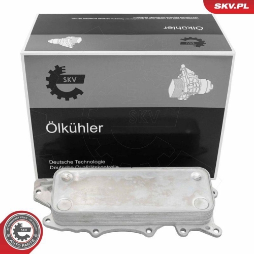 ESEN SKV &Ouml;lk&uuml;hler, Motor&ouml;l 31SKV325