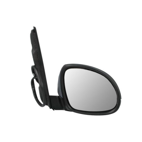 BLIC Außenspiegel 5402-10-2002264P