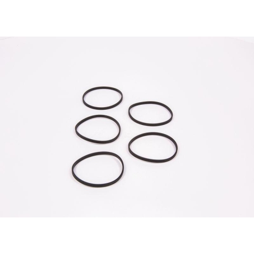 BOSCH Dichtung 1 420 206 009