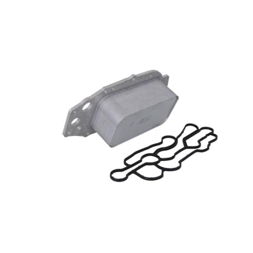 KAMOKA &Ouml;lk&uuml;hler, Motor&ouml;l 7730167