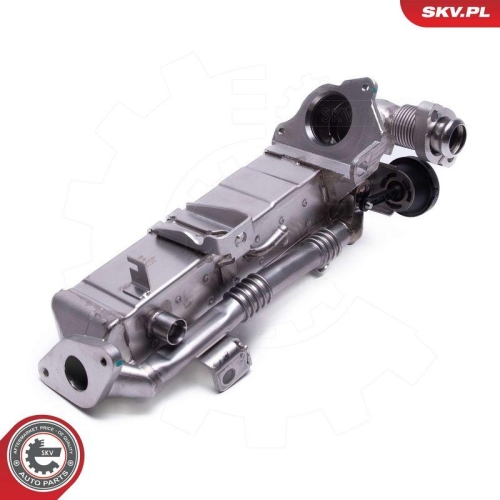 ESEN SKV AGR-Ventil 14SKV239