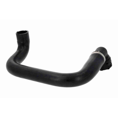 VAICO K&uuml;hlerschlauch Original VAICO Qualit&auml;t V40-2534