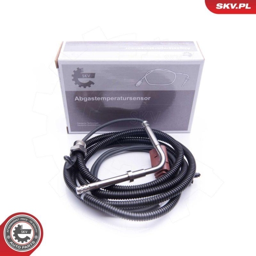 ESEN SKV Sensor, Abgastemperatur 30SKV212