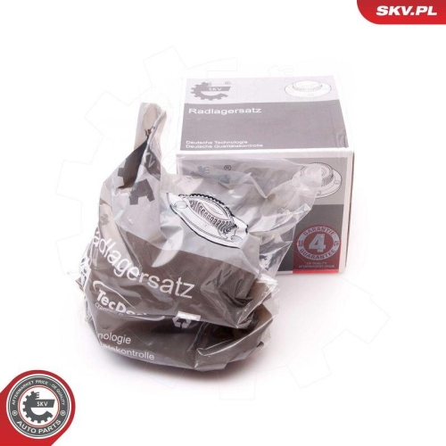 ESEN SKV Radlagersatz 29SKV045