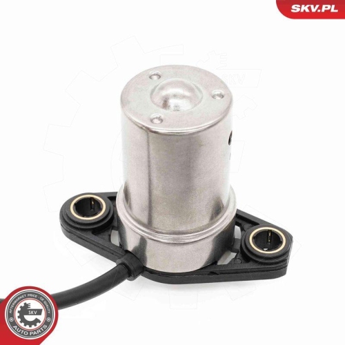 ESEN SKV Sensor, Motor&ouml;lstand