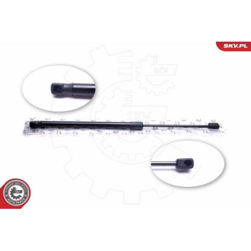 ESEN SKV Gasfeder, Koffer-/Laderaum