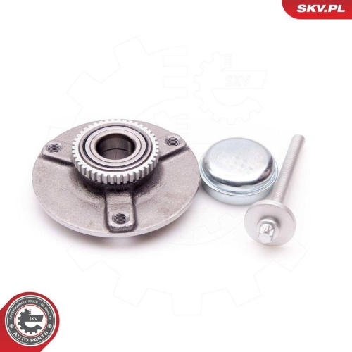 ESEN SKV Radlagersatz 29SKV046