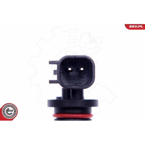 ESEN SKV Sensor, Raddrehzahl 06SKV382