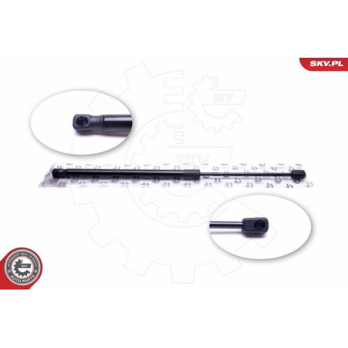 ESEN SKV Gasfeder, Koffer-/Laderaum