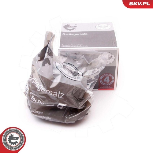 ESEN SKV Radlagersatz 29SKV051