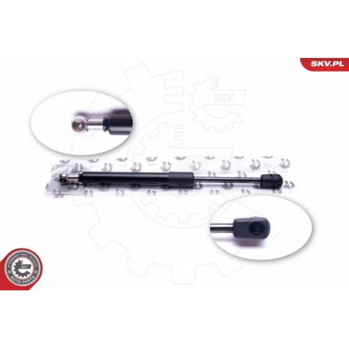 ESEN SKV Gasfeder, Koffer-/Laderaum