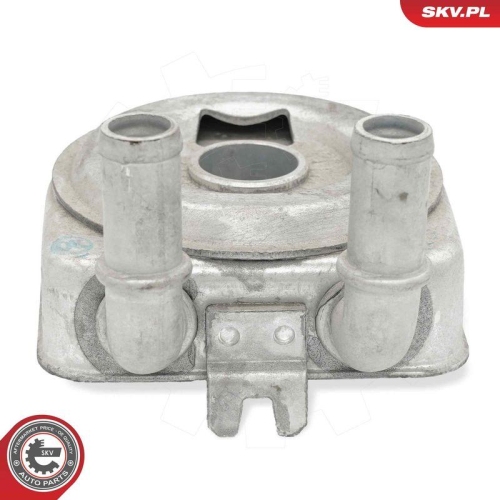 ESEN SKV &Ouml;lk&uuml;hler, Motor&ouml;l 31SKV307