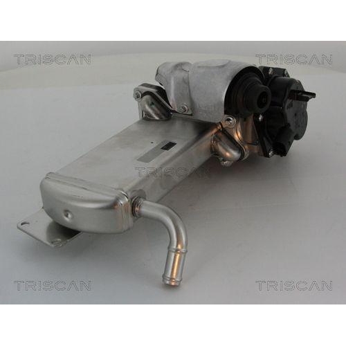 TRISCAN AGR-Ventil 8813 29304