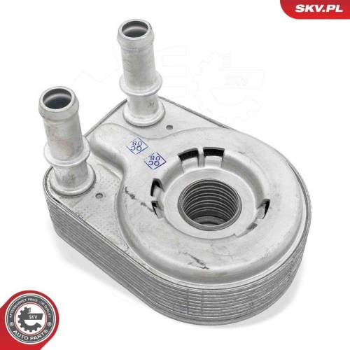 ESEN SKV &Ouml;lk&uuml;hler, Motor&ouml;l 31SKV311
