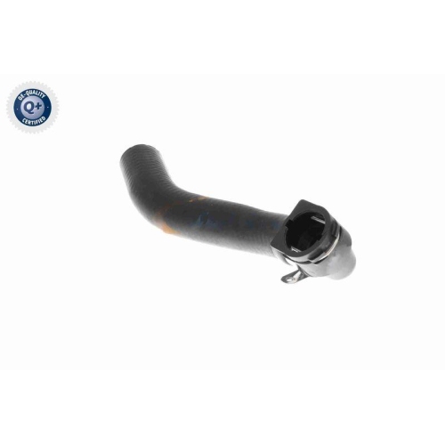 VAICO K&uuml;hlerschlauch Q+, Erstausr&uuml;sterqualit&auml;t V20-3682