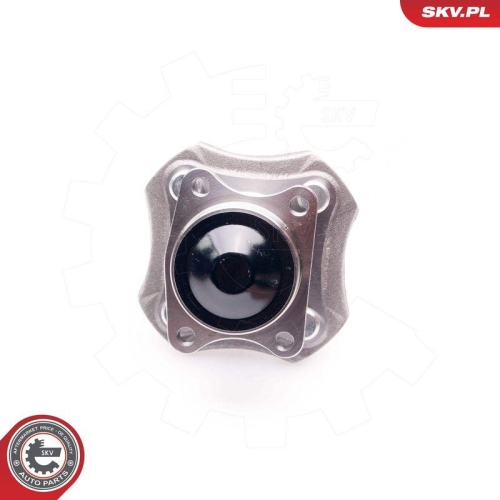 ESEN SKV Radlagersatz 29SKV063