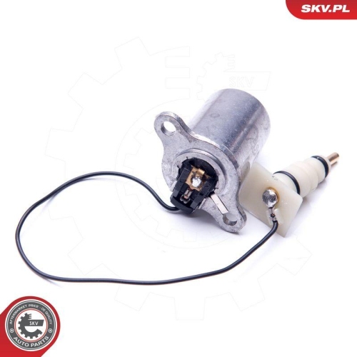 ESEN SKV Sensor, Motor&ouml;lstand 17SKV398
