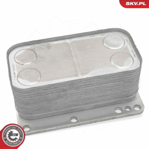 ESEN SKV &Ouml;lk&uuml;hler, Motor&ouml;l 31SKV343
