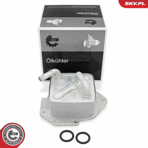 ESEN SKV &Ouml;lk&uuml;hler, Motor&ouml;l 31SKV349