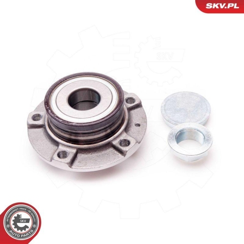 ESEN SKV Radlagersatz 29SKV070