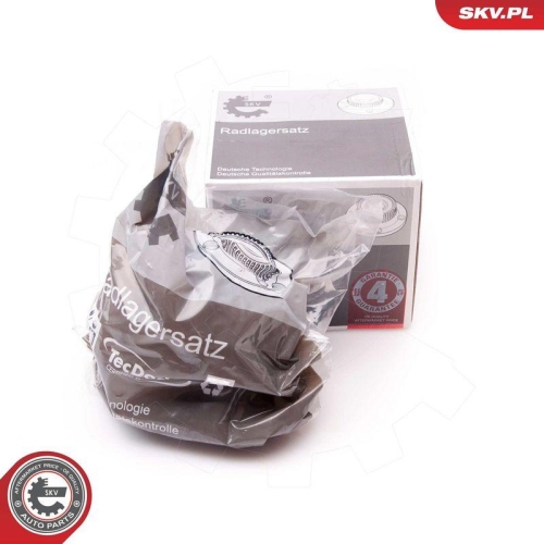 ESEN SKV Radlagersatz 29SKV073
