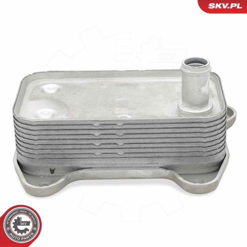 ESEN SKV &Ouml;lk&uuml;hler, Motor&ouml;l 31SKV326