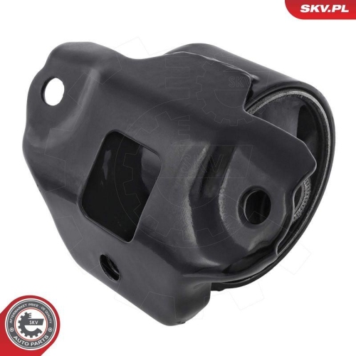 ESEN SKV Lagerung, Motor 75SKV232
