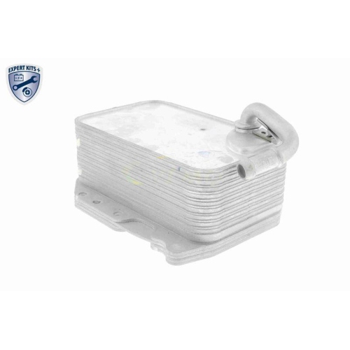 VEMO Ölkühler, Motoröl EXPERT KITS + V15-60-6075