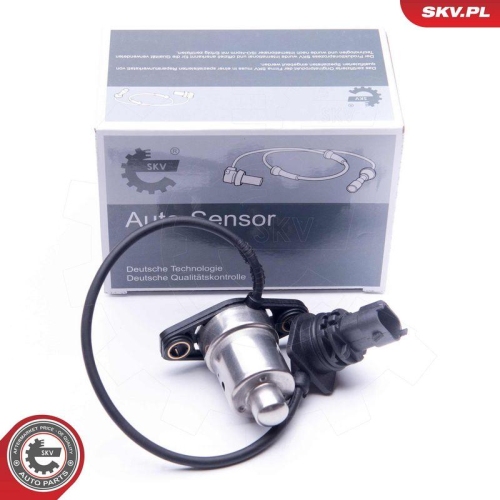 ESEN SKV Sensor, Motor&ouml;lstand 17SKV405
