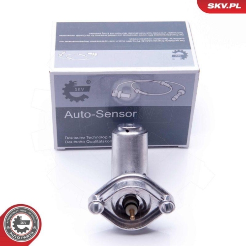 ESEN SKV Sensor, Motor&ouml;lstand 17SKV396