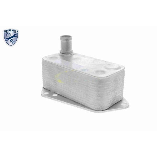 VEMO Ölkühler, Motoröl EXPERT KITS +
