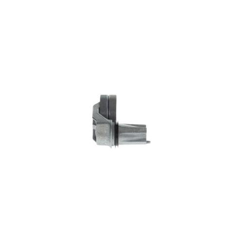 BOSCH Riemenspanner, Keilrippenriemen 1 987 600 405