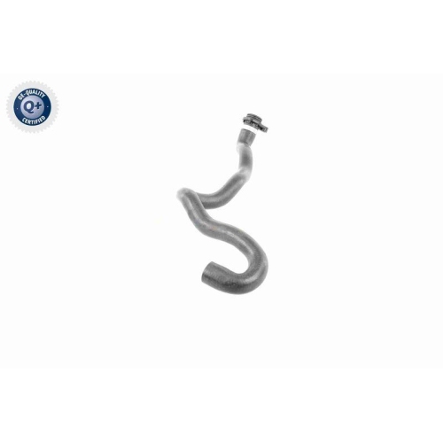 VAICO Kühlerschlauch Q+, Erstausrüsterqualität V20-2892